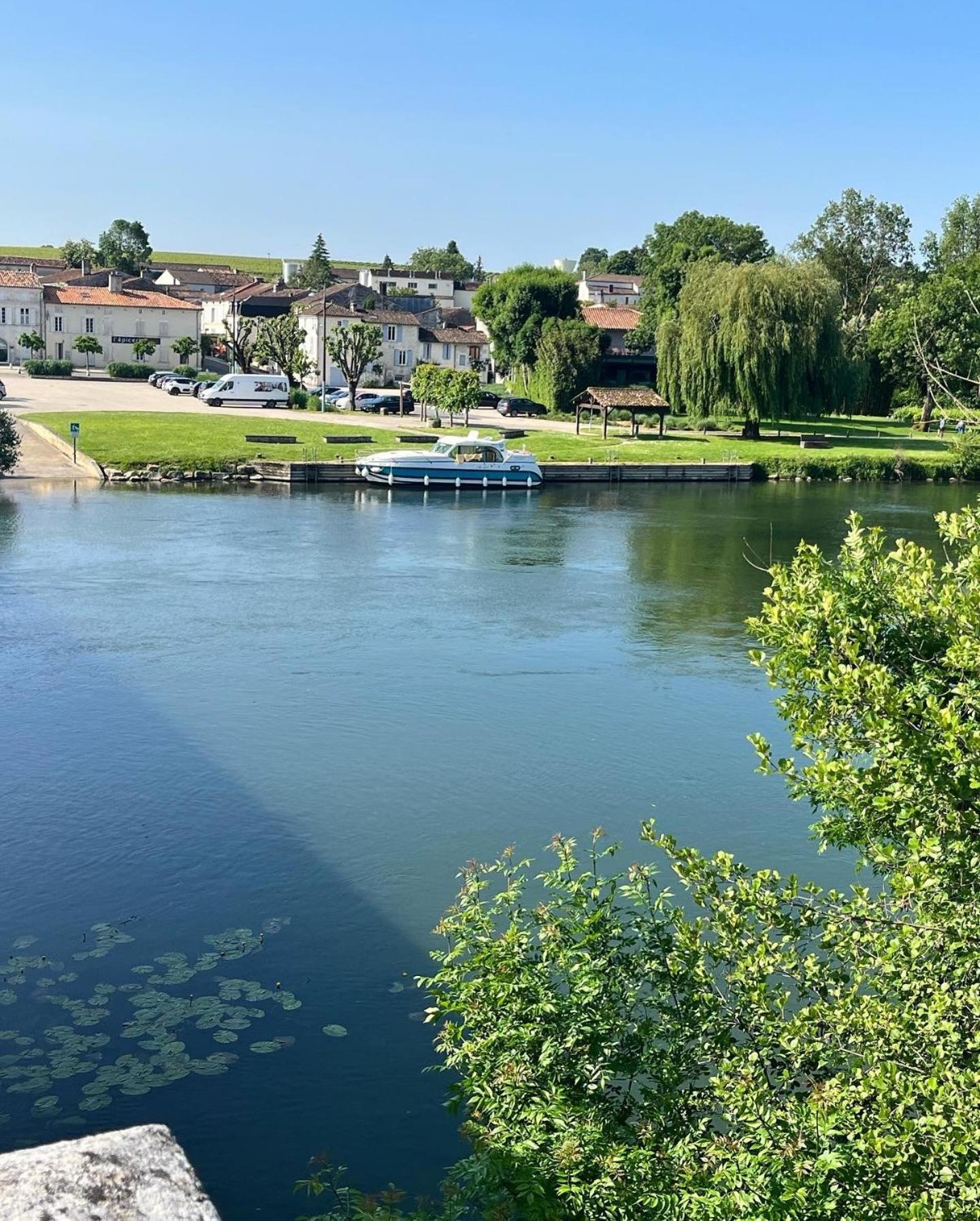 Bourg-Charente Petit Moulin De Veillardヴィラ エクステリア 写真