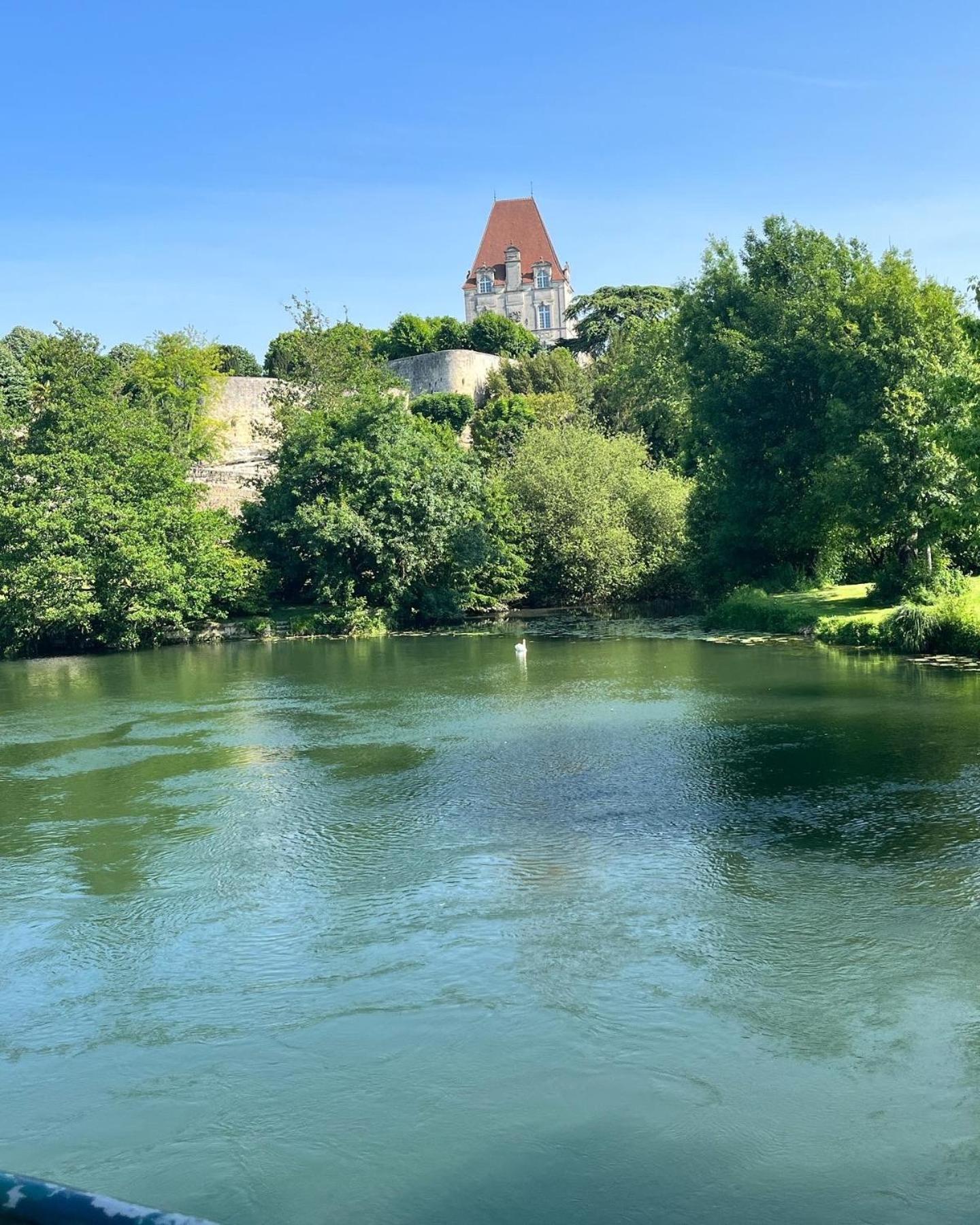 Bourg-Charente Petit Moulin De Veillardヴィラ エクステリア 写真