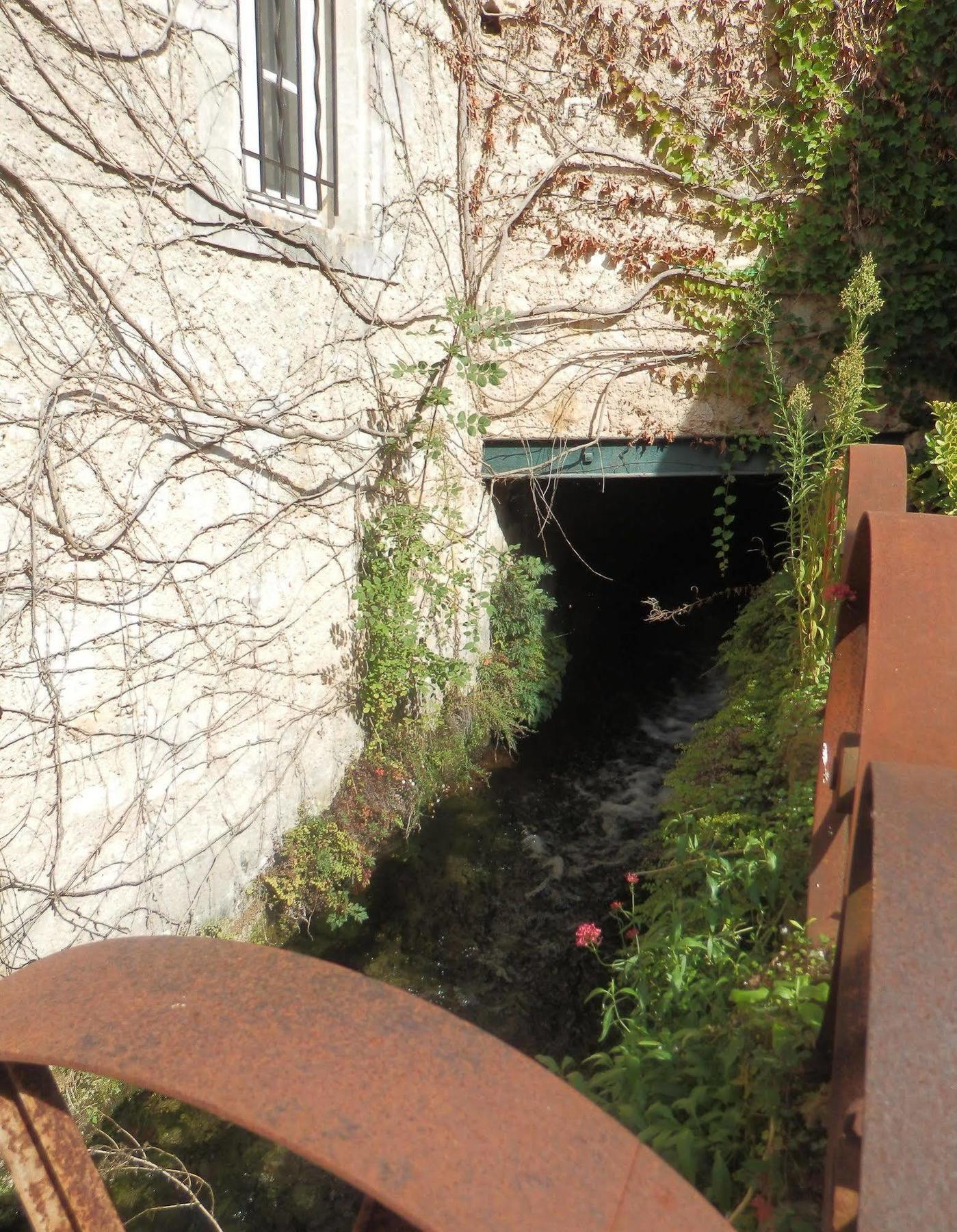 Bourg-Charente Petit Moulin De Veillardヴィラ エクステリア 写真