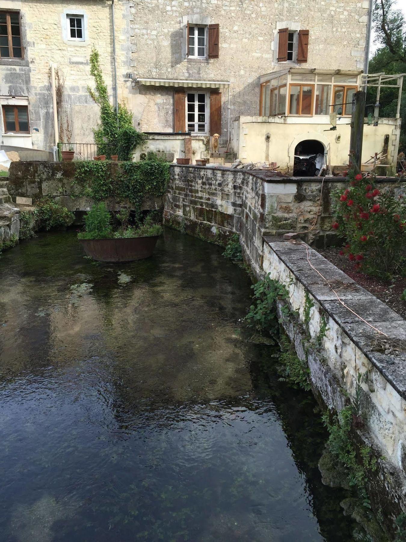 Bourg-Charente Petit Moulin De Veillardヴィラ エクステリア 写真